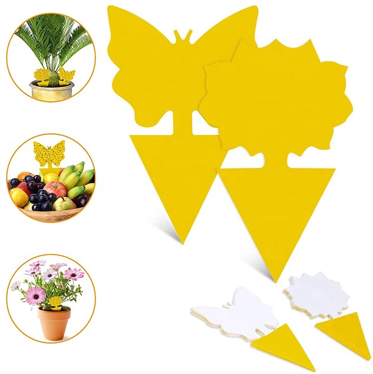 Merkloos Rouwvliegjes Bestrijden - Fruitvliegjes Vanger - Vliegenvanger - 24 Stuks - Image 5