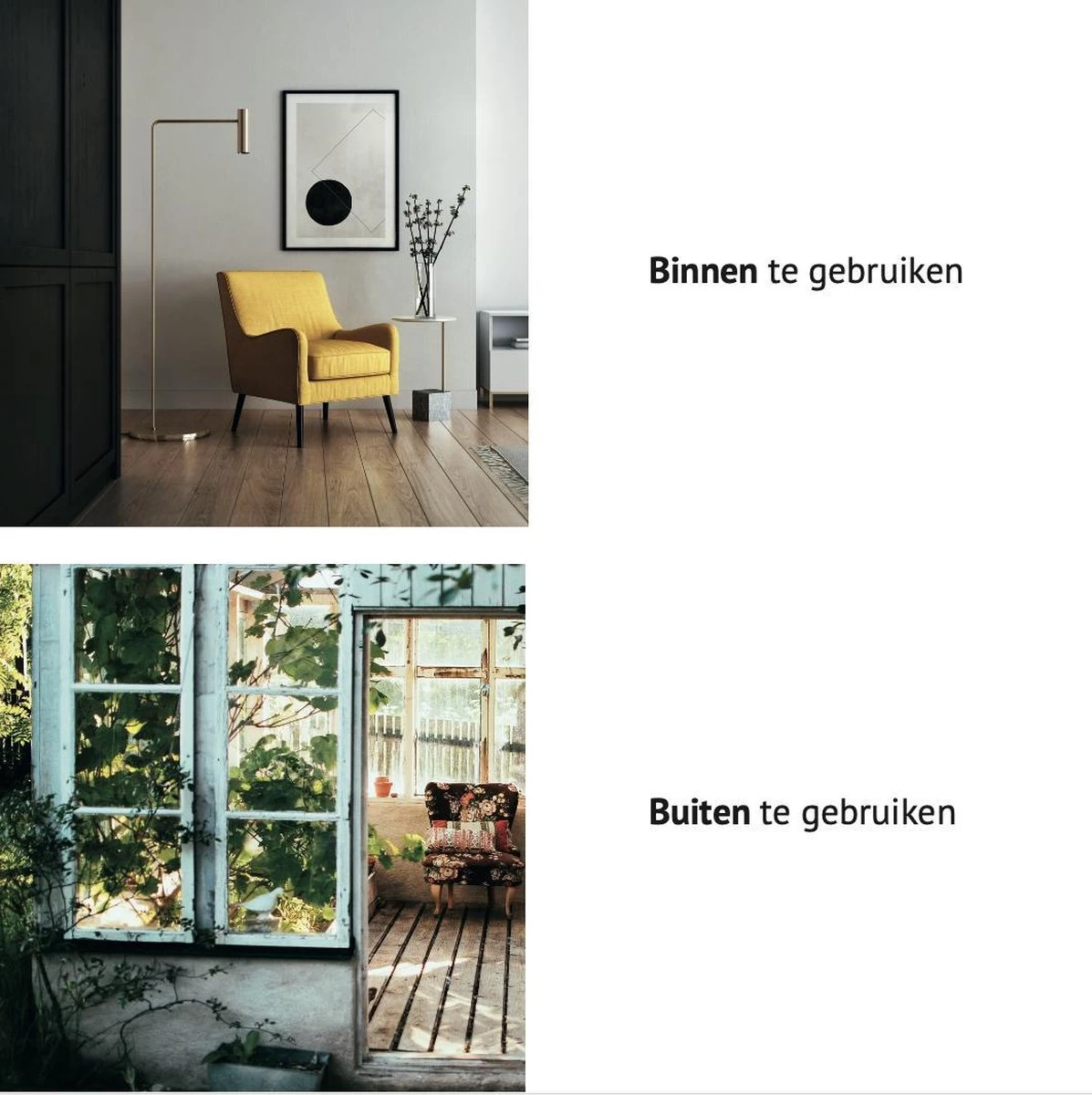 PROTEKX Muizenval - 6 Stuks - Voor Binnen En Buiten - Extra Sterk - Niet Giftig - Hygiënisch - Hoge Vangkans - Ongedierte Verjager - Image 5