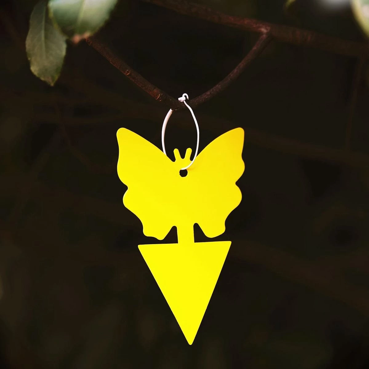 Rouwvliegjes Bestrijden 15 Stuks - Vliegenvanger - Insectenvanger - Lijmval - Vangplaten - Plak Klavertjes Tegen Rouwvliegen En Trips - Vangkaarten - Hebron® - Image 3