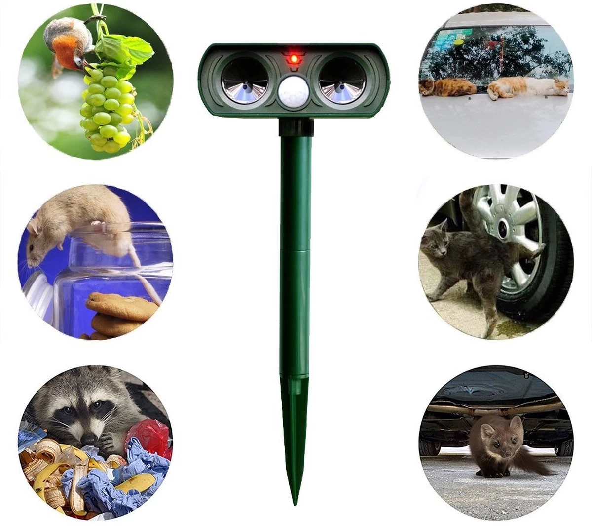 Sparckz Verjager® Ultrasone Kattenverjager Op Zonneenergie - Kattenschrik - Marterverjager - Afweermiddel Voor Vogels, Katten, Muizen, Ongedierte Etc. - Waterdicht - Rond - Image 4