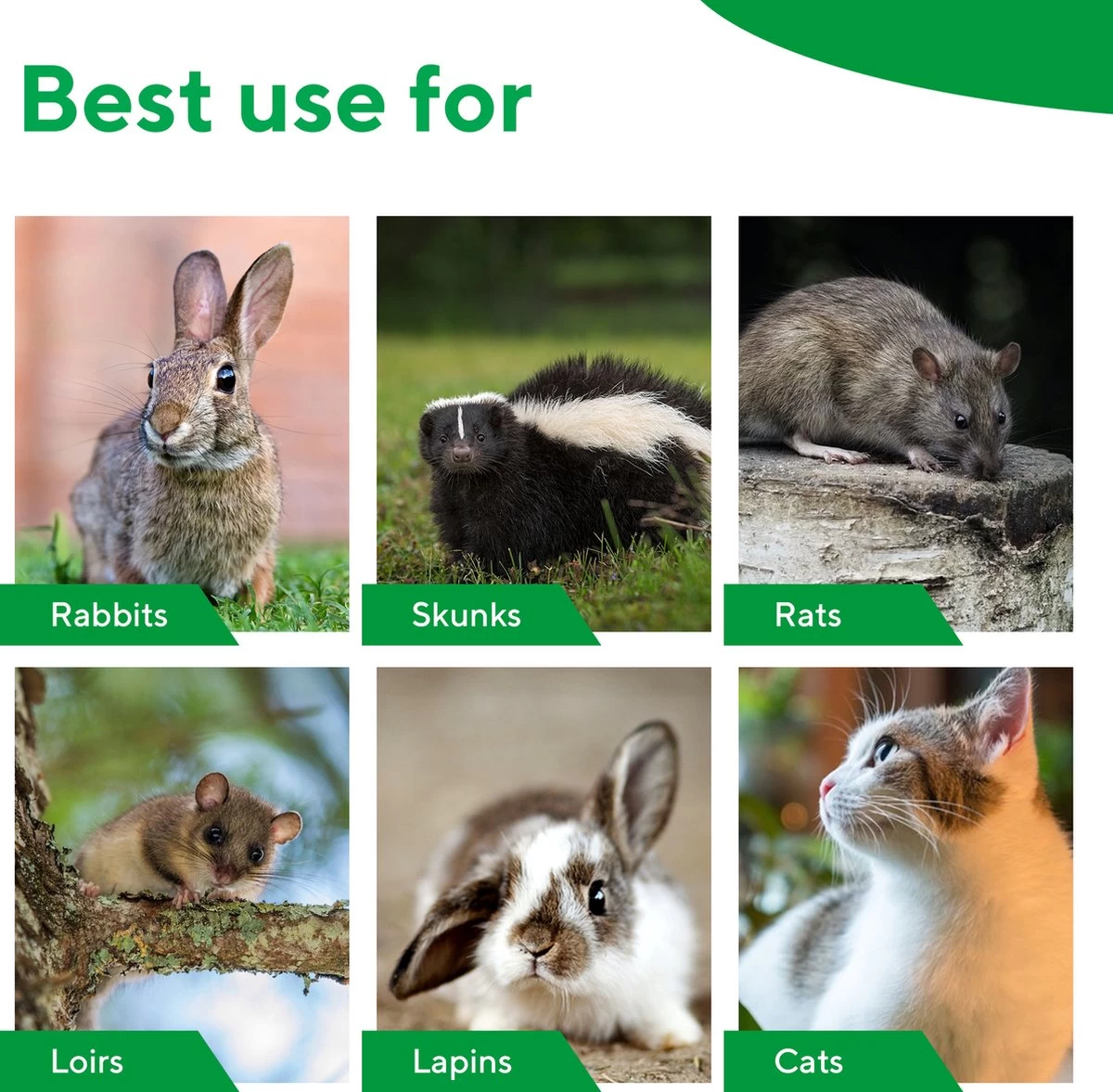 MaxxGarden Vangkooi Voor Dieren Van 60x18x20cm - Rattenval - Dubbele Ingang - Opvouwbaar - Image 3