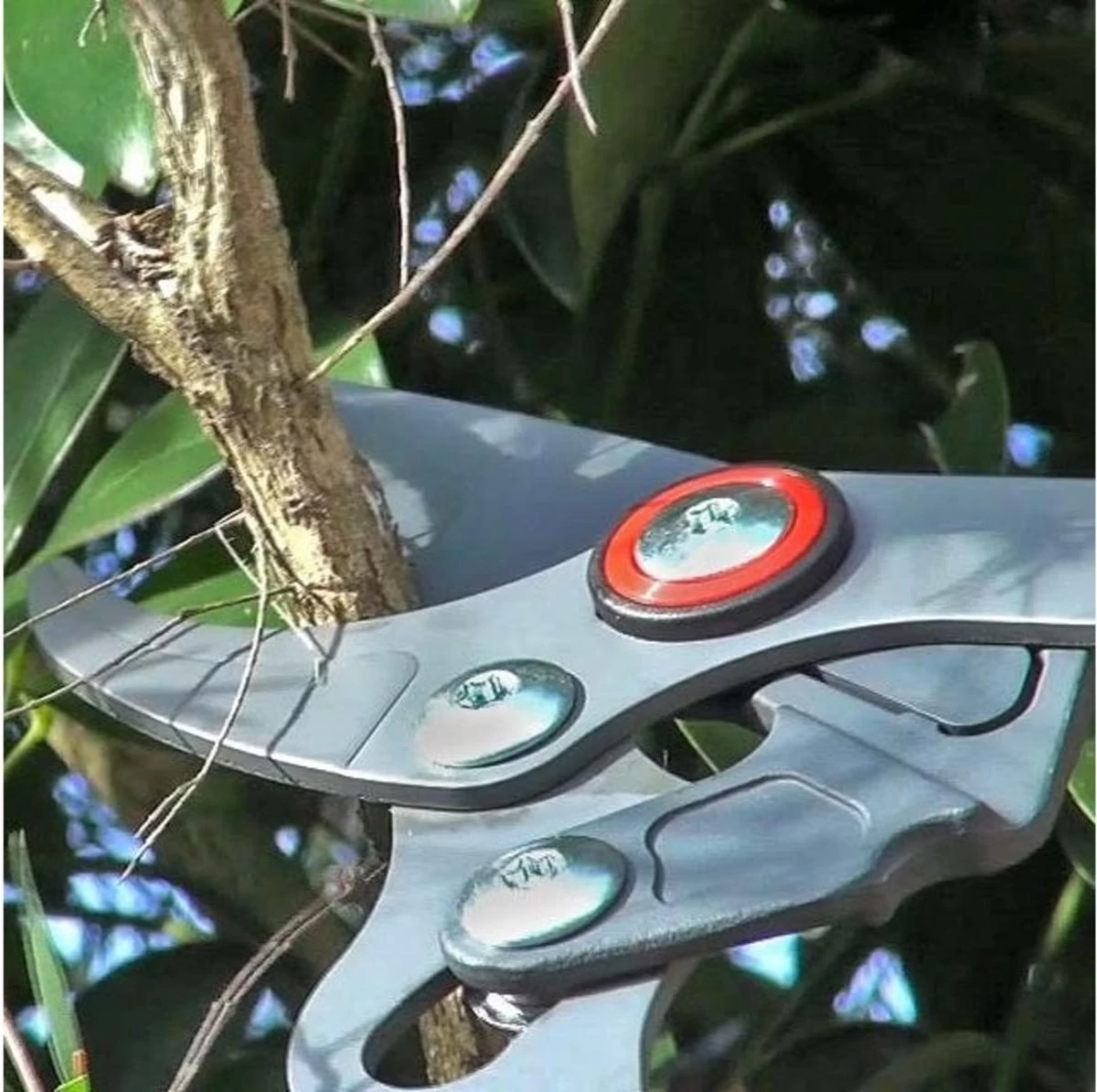 WOLF-Garten Takkenschaar POWER CUT RR*** 900 T - Lengte 650-900mm - Telescoop - Aluminium Hefboomarmen - 4x Meer Kracht - Messpanning Instelbaar - Image 7