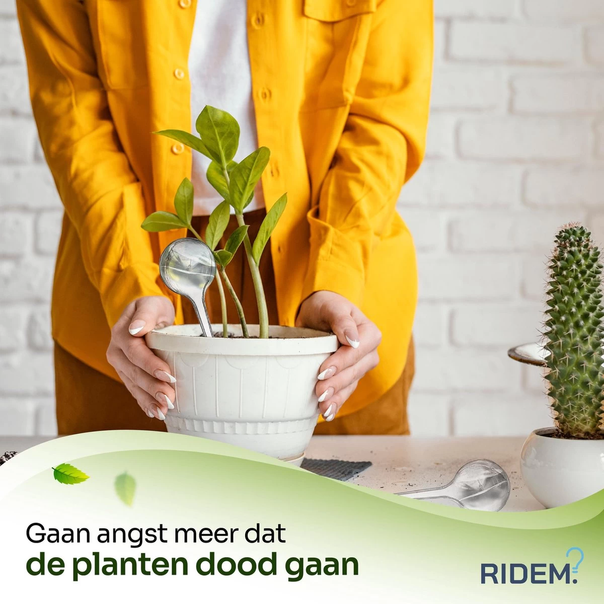 Waterdruppelaar Voor Planten - Irrigatiesysteem- Waterbol - Druppelsysteem - Watergeefsysteem Voor Kamerplanten - Plantenwatergever -6 Stuks - Transparant - Image 5