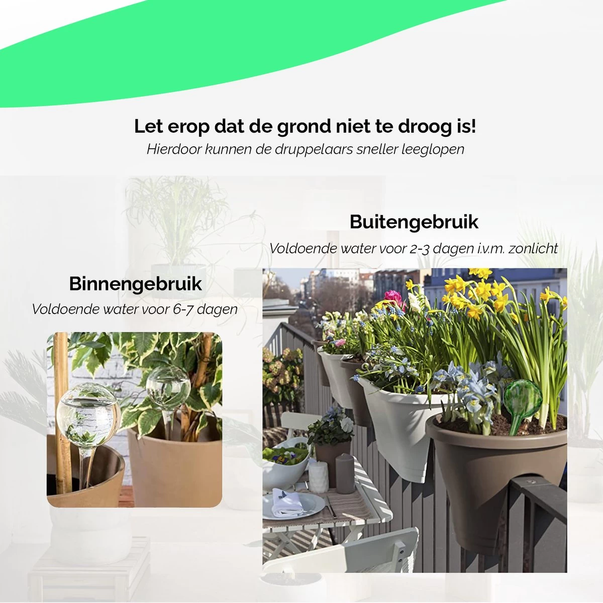Waterdruppelaar Set Van 8 Stuks Voor Planten Transparant - Waterdruppelaar Voor Kamerplanten – Waterbol - Waterdruppelaar Voor Planten - Watergeefsysteem - Image 5