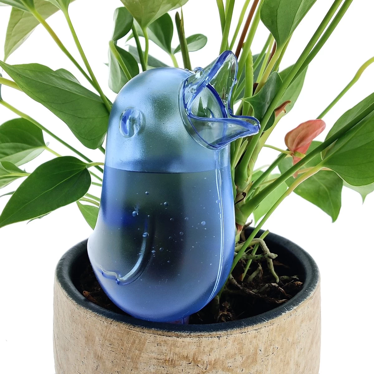 JS Drippy - Waterdruppelaars Set Van 2 Stuks - Druppelaar Vogel - Druppelsysteem Planten - Watergeefsysteem Kamerplanten - Waterbol - Blauw - Image 3