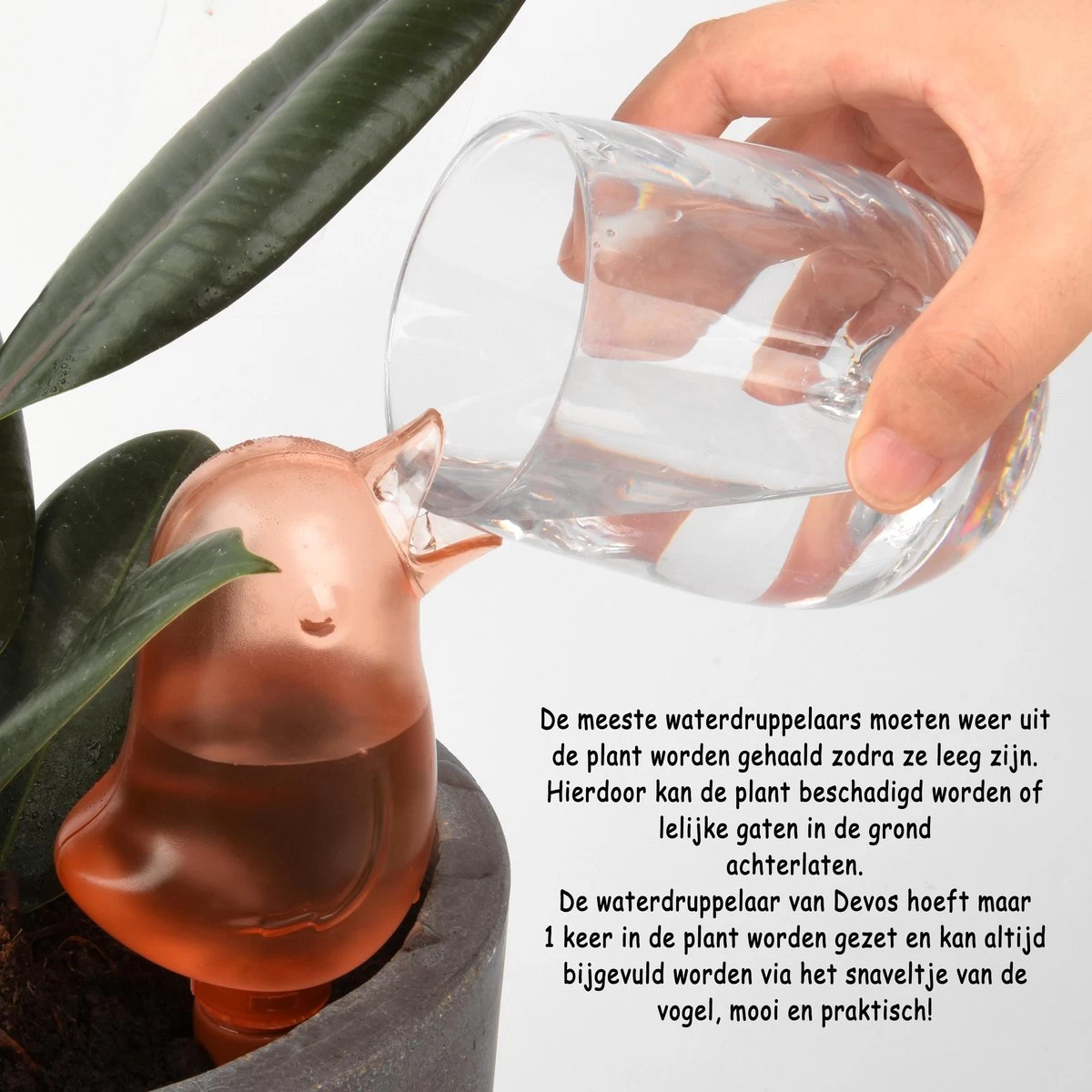Waterdruppelaar Voor Planten 2 Stuks - Waterbol Kamerplanten - Automatisch Watergeefsysteem - Vogel - Blauw - Image 3