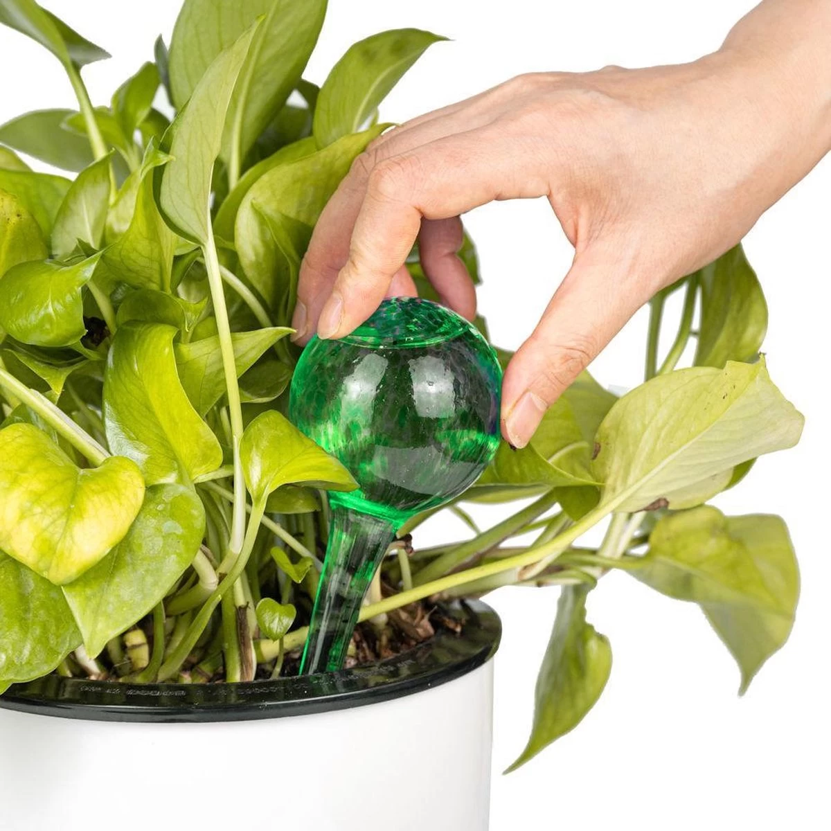 Merkloos Decopatent® 4 Stuks - Waterdruppelaar Voor Planten - Watergever - Glas - Waterbollen - Watergeefsysteem - Plantenbollen - Groen - Image 10