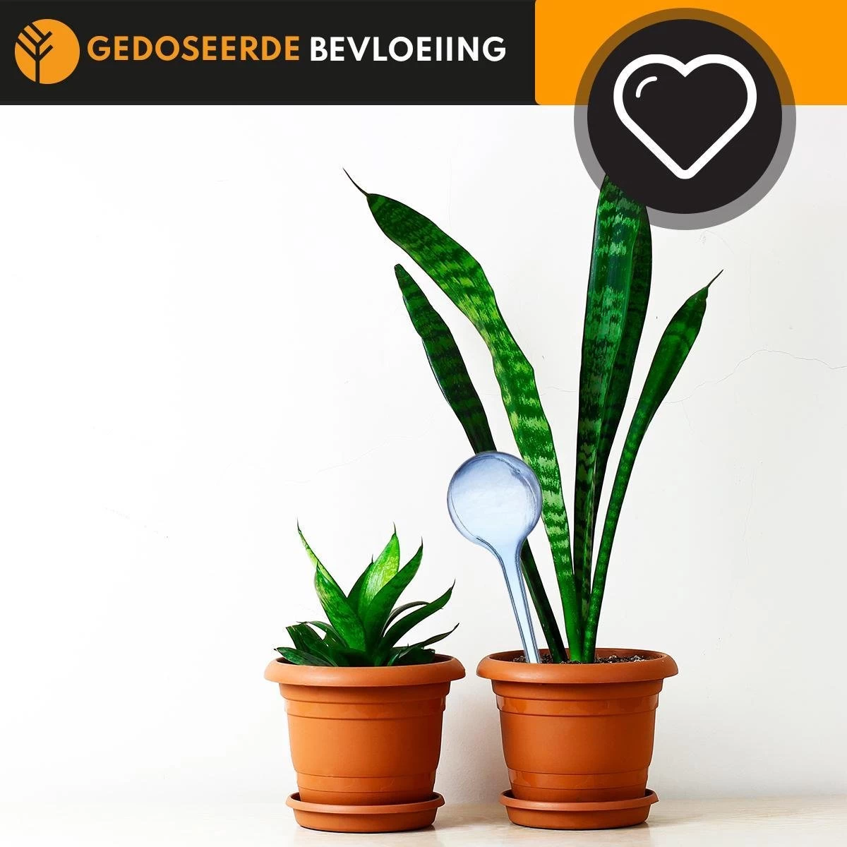 Waterdruppelaar Blauw Set Van 6 Stuks Voor Planten – 27 CM – Automatisch Watergeefsysteem Voor Kamerplanten – Planten Watergever Met Druppelsysteem – Waterbol - Image 4