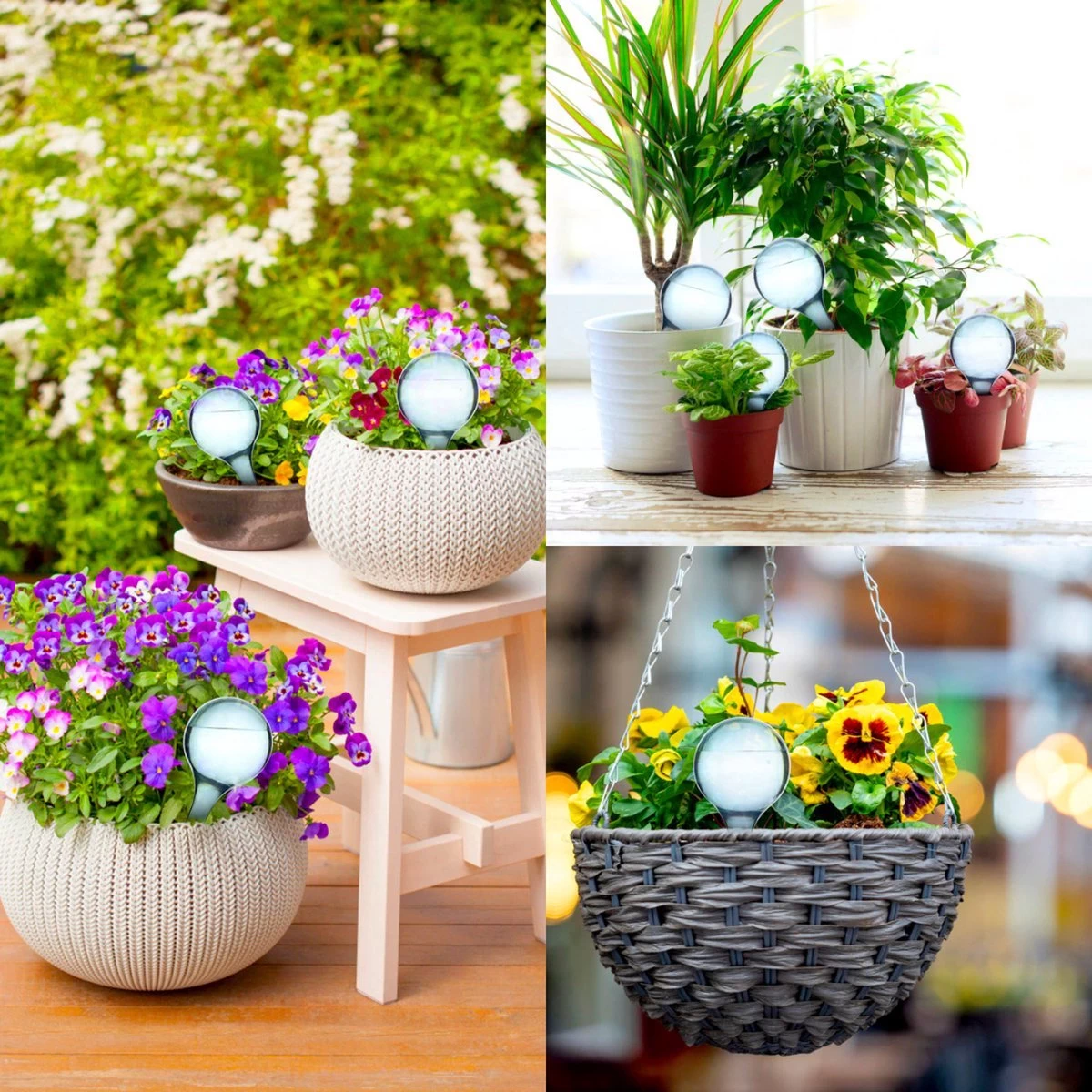 Druppelsysteem 12 Stuks Waterdruppelaar Voor Planten - Waterafgiftesysteem Voor 2 Weken - Beregening Voor Kamerplanten - Image 6