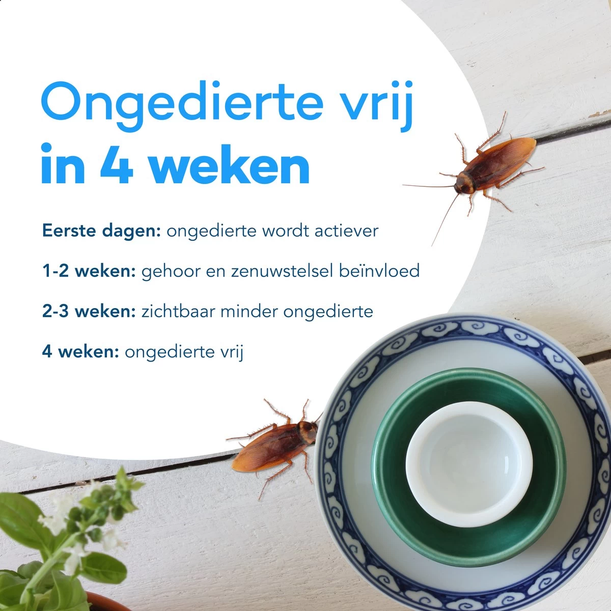 4 Pack Ultrasone Muizenverjager - Ongedierte Verjager - Muizenval - Diervriendelijk - Pest Reject - Repeller - Ratten Bestrijding - Muggenstekker - Vliegen - Insecten - Marter - Geluidloos - Wit - Image 2