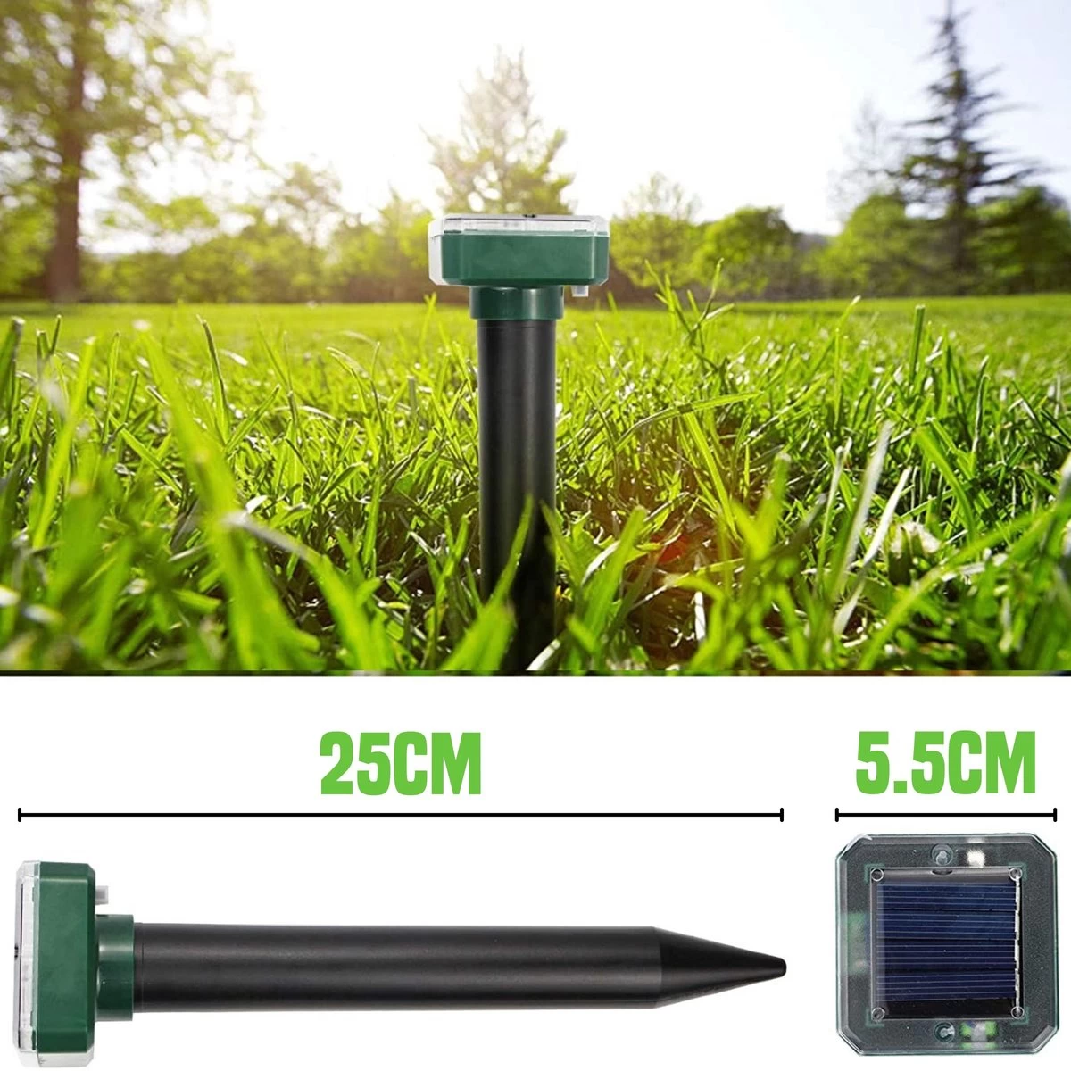 PetsBest Mollenverjager - Mollengranulaat - 2 Pack - Unieke Combinatie - Mollen Bestrijding - Image 5