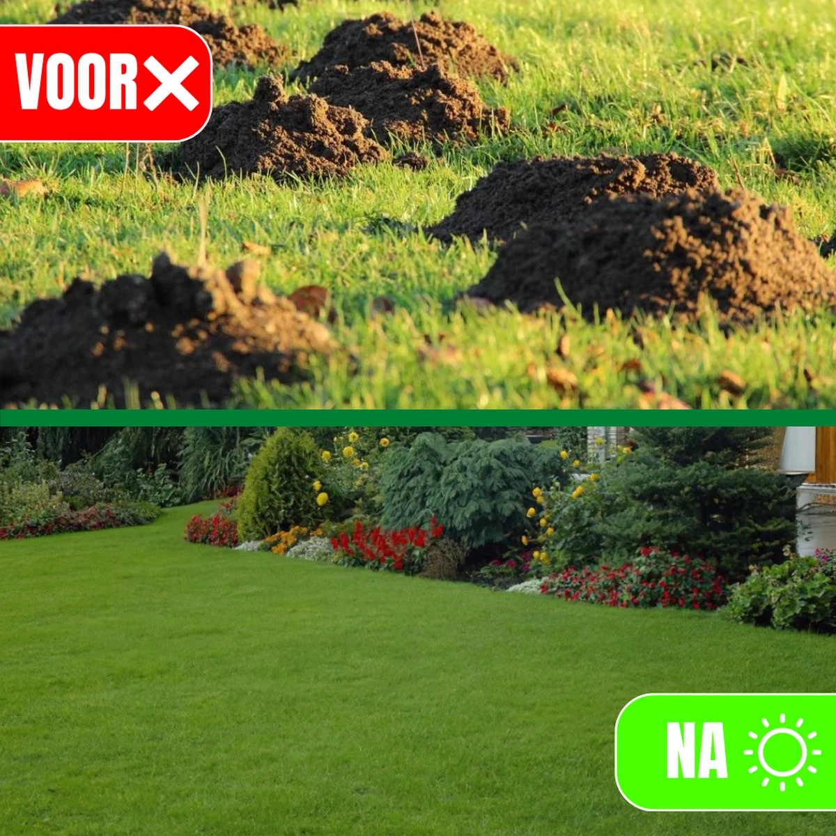 Jork - Mollenverjager - Mollenverjager Op Zonne Energie - Mollenbestrijding - Muizenverjager - Muizenval Diervriendelijke - 4 Stuks - Diervriendelijk - Zonne Energie - Waterdicht - V2 - 2023 Model - Image 9