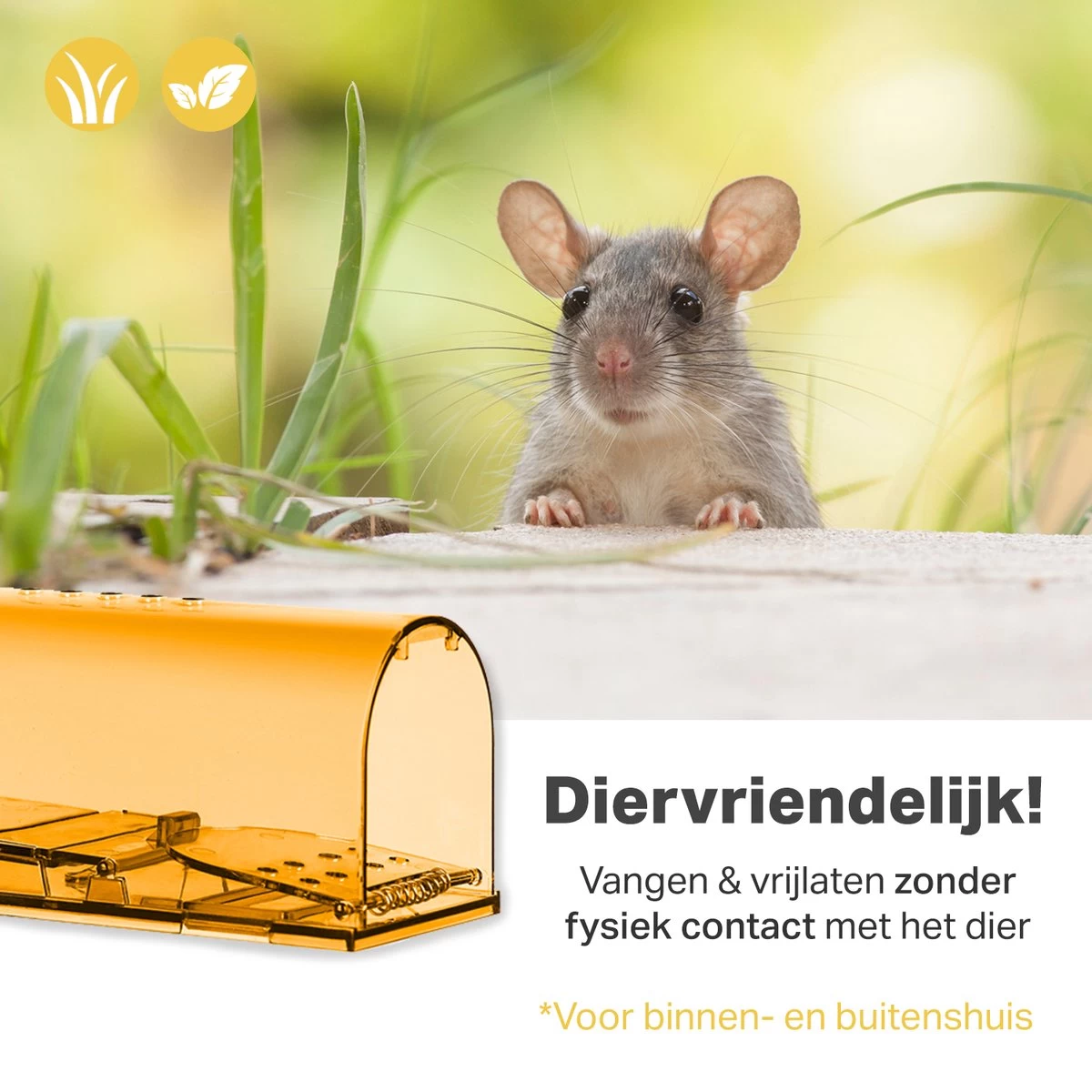 Vivid Green Diervriendelijke Muizenval Voor Binnen & Buiten - Muizenvallen - Muizenverjager - Mouse Trap - 2 Pack - Oranje - Image 3