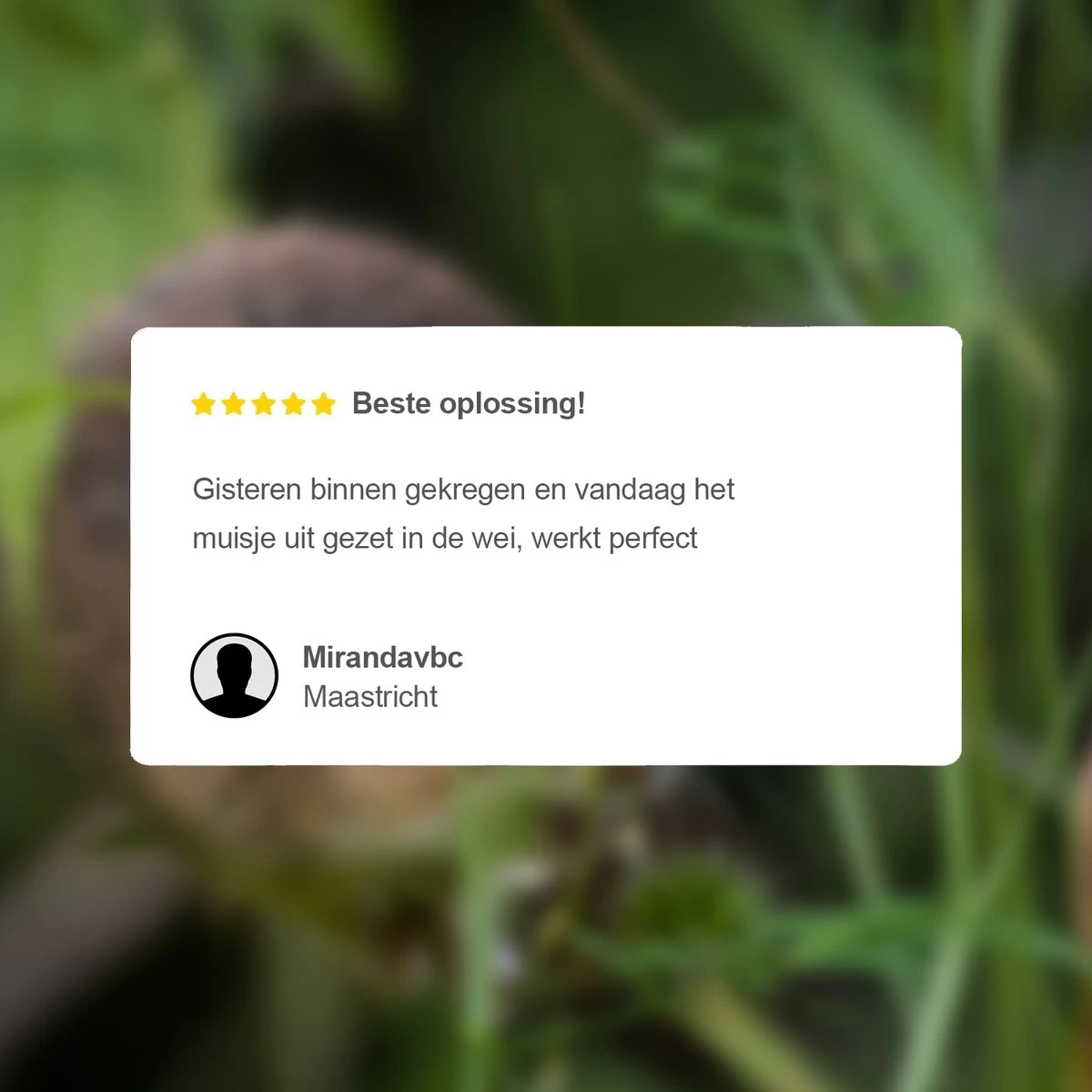 VerminBuster Diervriendelijke Muizenval - 2 Stuks - Levende Muizenval - Muizenverjager - Image 6