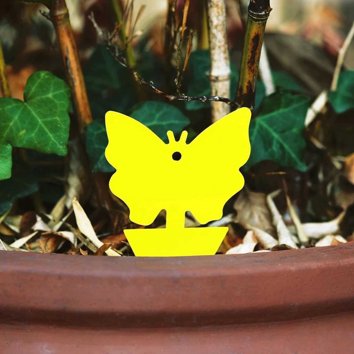 Rouwvliegjes Bestrijden 15 Stuks - Vliegenvanger - Insectenvanger - Lijmval - Vangplaten - Plak Klavertjes Tegen Rouwvliegen En Trips - Vangkaarten - Hebron® - Image 5