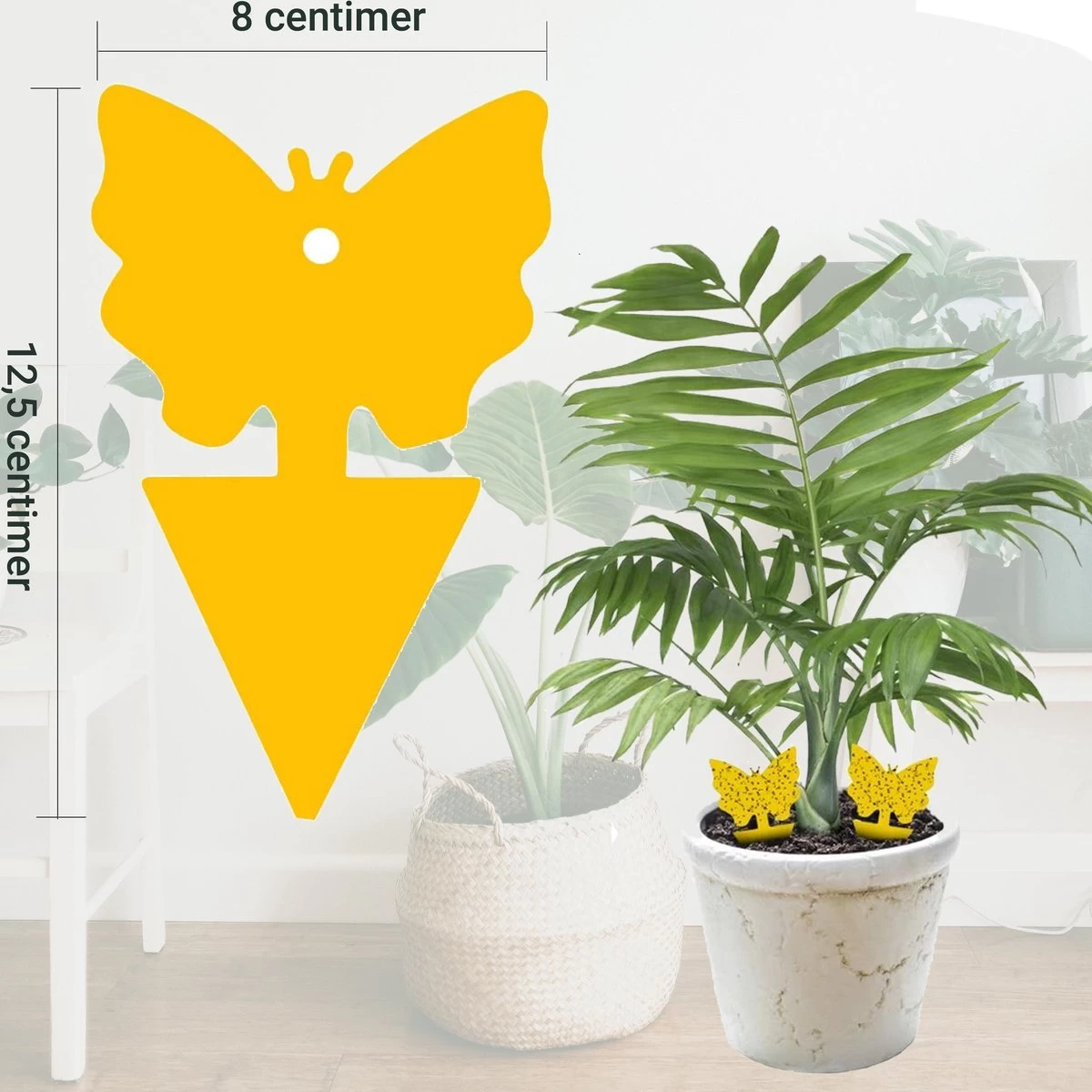 Rouwvliegjes Bestrijden 15 Stuks - Vliegenvanger - Insectenvanger - Lijmval - Vangplaten - Plak Klavertjes Tegen Rouwvliegen En Trips - Vangkaarten - Hebron® - Image 8