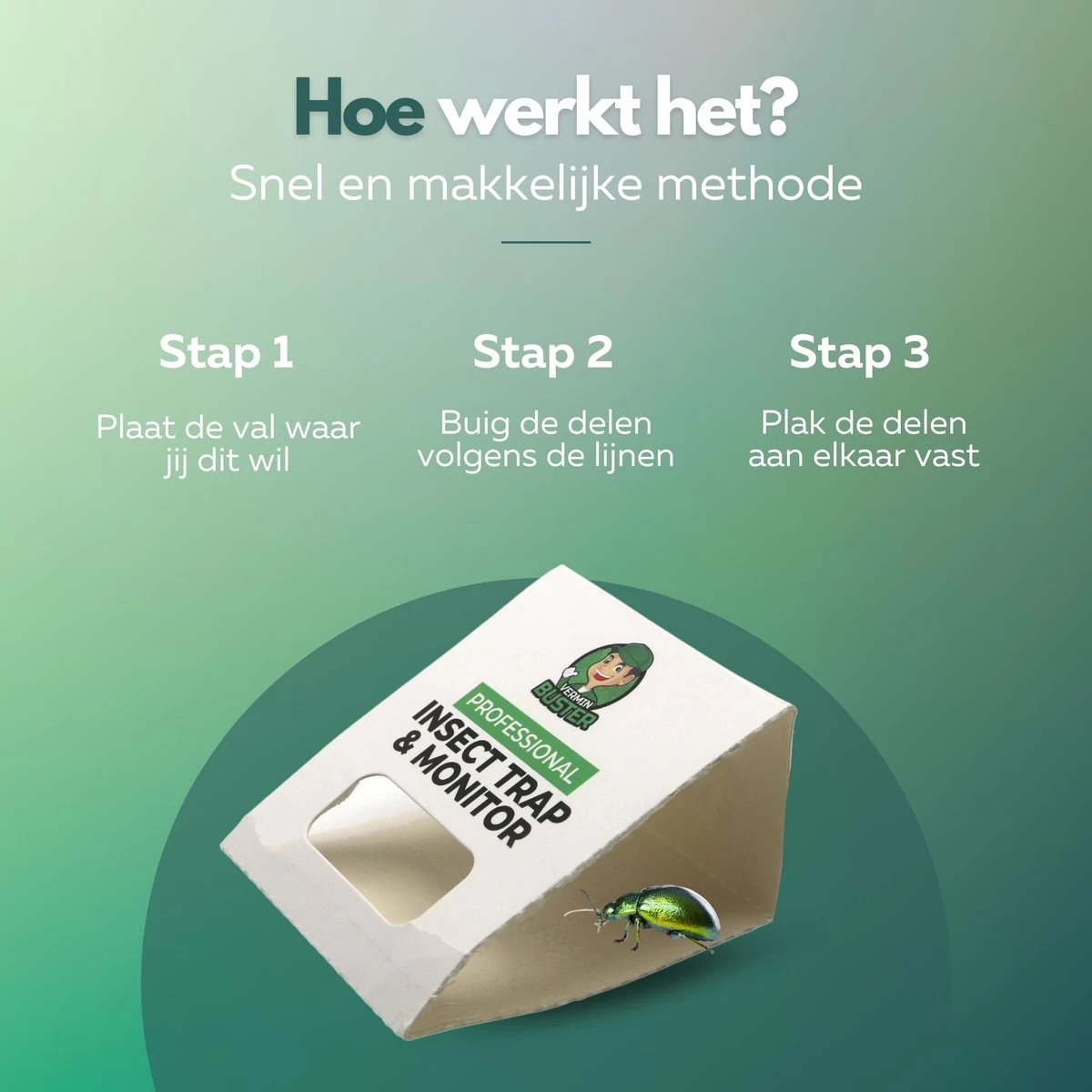 VerminBuster Zilvervisjesvallen 12 Stuks - Zilvervisjes - Insectenval - Kakkerlakval - Bedwantsen - Mieren - Image 3