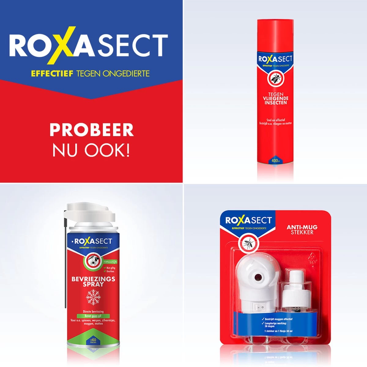 Roxasect Fruitvliegjes Ongedierteval - Anti-fruitvliegjes Insectenval - 1 Stuks - Image 4