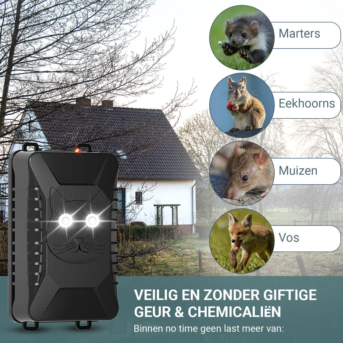 Westhome Marterverjager - Muizenverjager - Ongedierte Verjager - 2 Pack - 12V - Batterij En Accu - Image 4