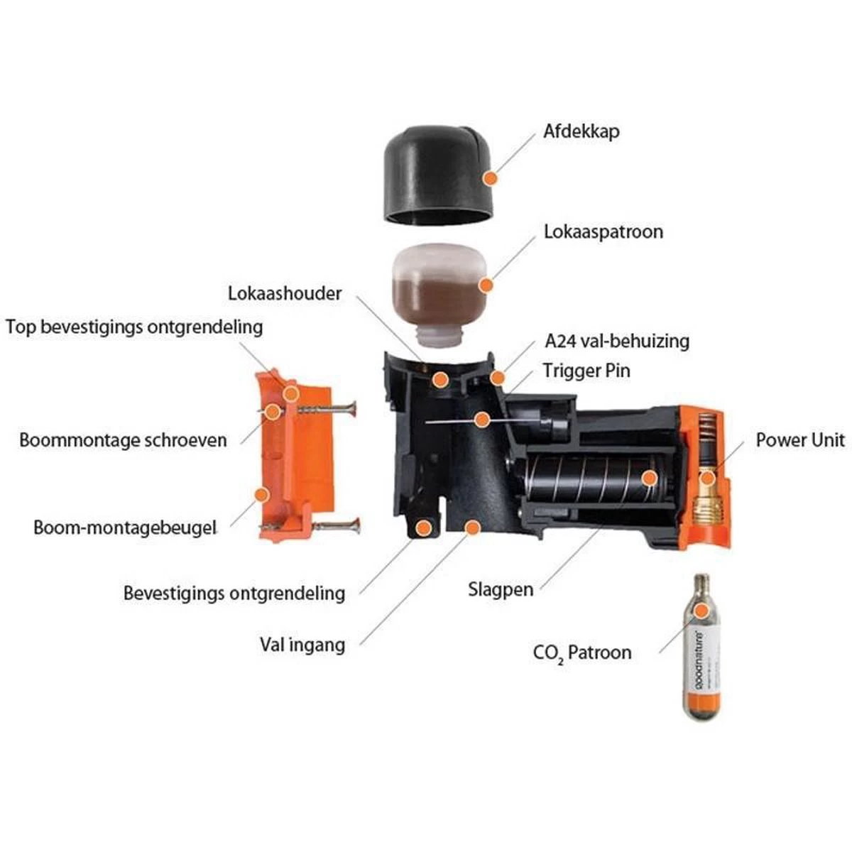 Goodnature A24 Met Teller - Rattenval - Muizenval - Rat - Muis - Image 3