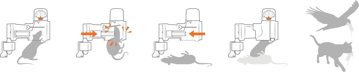 Goodnature A24 Met Teller - Rattenval - Muizenval - Rat - Muis - Image 14
