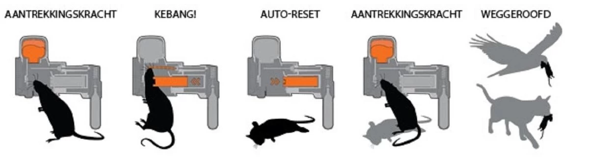 Goodnature A24 Met Teller - Rattenval - Muizenval - Rat - Muis - Image 4