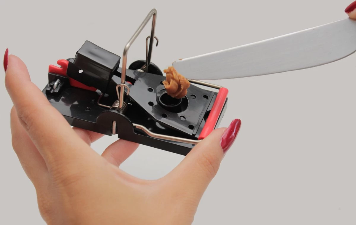 PROTEKX Muizenval - 6 Stuks - Voor Binnen En Buiten - Extra Sterk - Niet Giftig - Hygiënisch - Hoge Vangkans - Ongedierte Verjager - Image 6