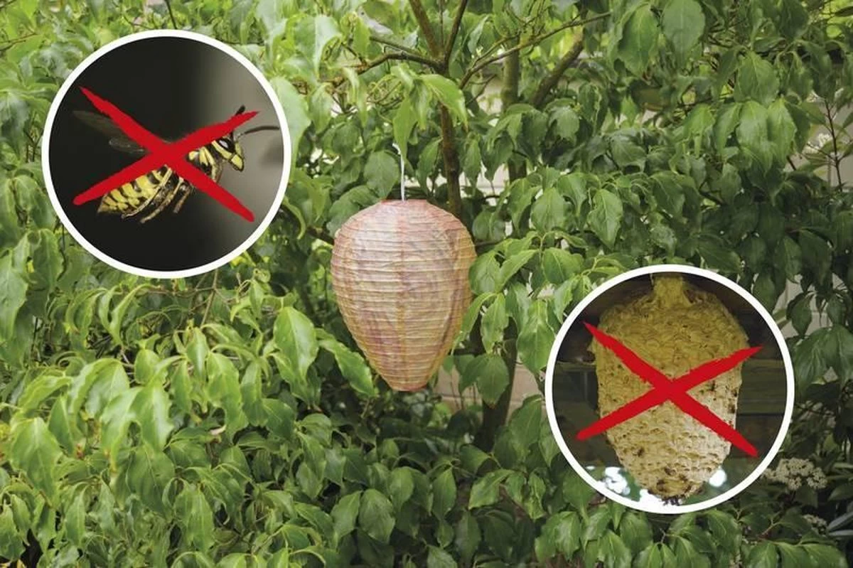 Gardigo Dummy Wespennest 2 Stuks - Image 2