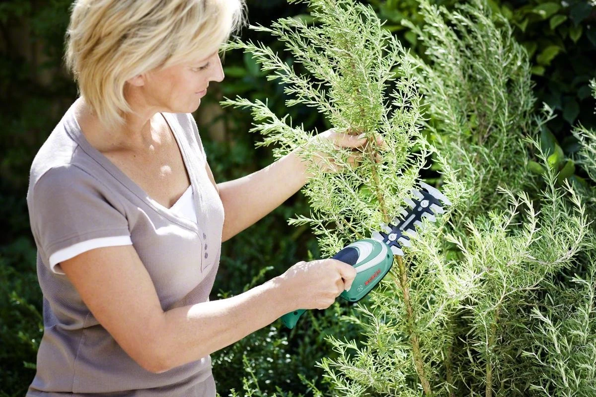 Bosch ISIO Gen III Accu Buxusschaar + Grasschaar - Image 4