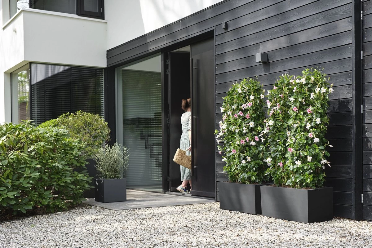 Elho Vivo Next Lang 60 - Bloempot Voor Binnen & Buiten - Ø 59.0 X H 29.2 Cm - Zwart/Living Black - Image 6