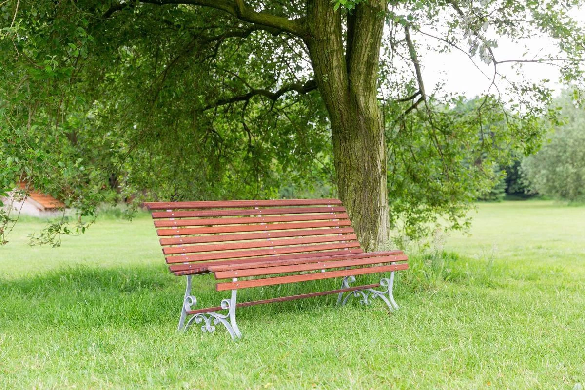 MaximaVida Tuinbank Budapest Oil 170 Cm - Uit Exclusief Mahoniehout - Image 5