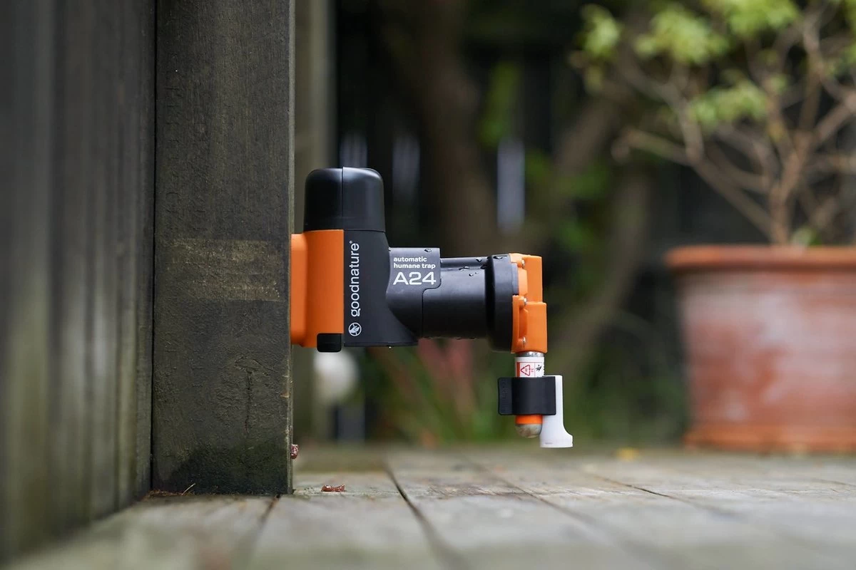 Goodnature A24 Met Teller - Rattenval - Muizenval - Rat - Muis - Image 8