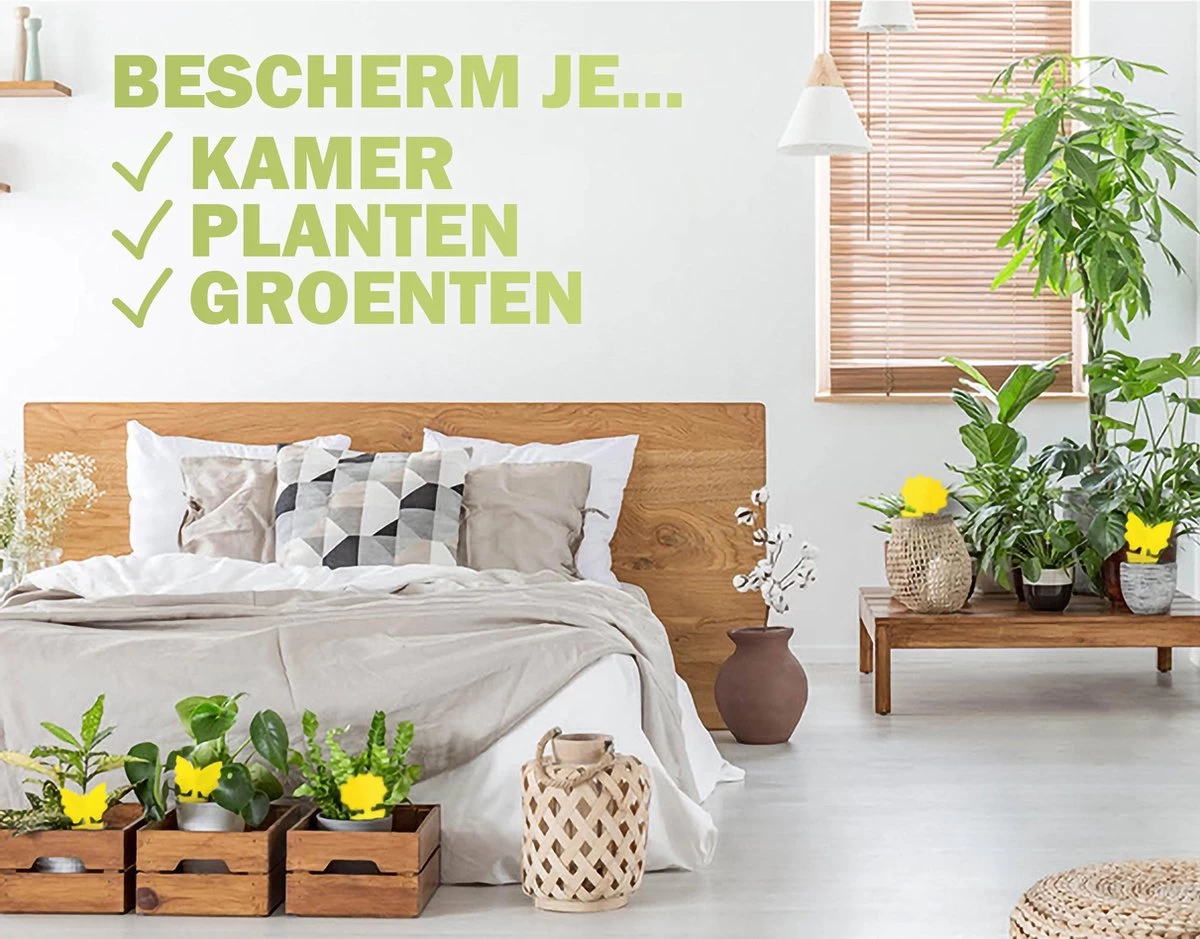 Merkloos Rouwvliegjes Bestrijden - Fruitvliegjes Vanger - Vliegenvanger - 24 Stuks - Image 4