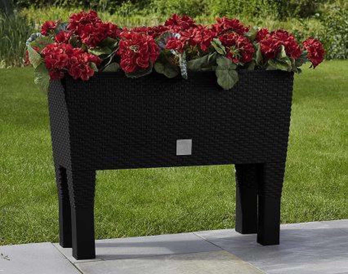 Prosperplast Kunststof Rato Plantenbak Op Poten Met Irrigatiesysteem Antraciet 80 X 33 X 62 Cm - 72 Liter - Balkonbakken/bloembakken - Image 10