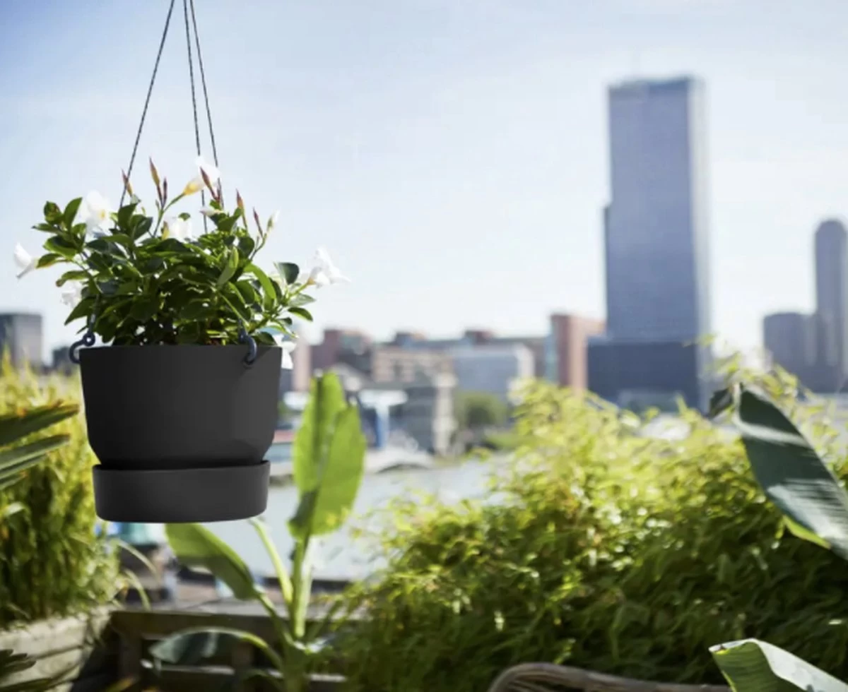 Elho Greenville Hangschaal 24 - Bloempot Voor Balkonbuiten - Ø 23.5 X H 20.5 Cm - Zwart/Living Black - Image 2