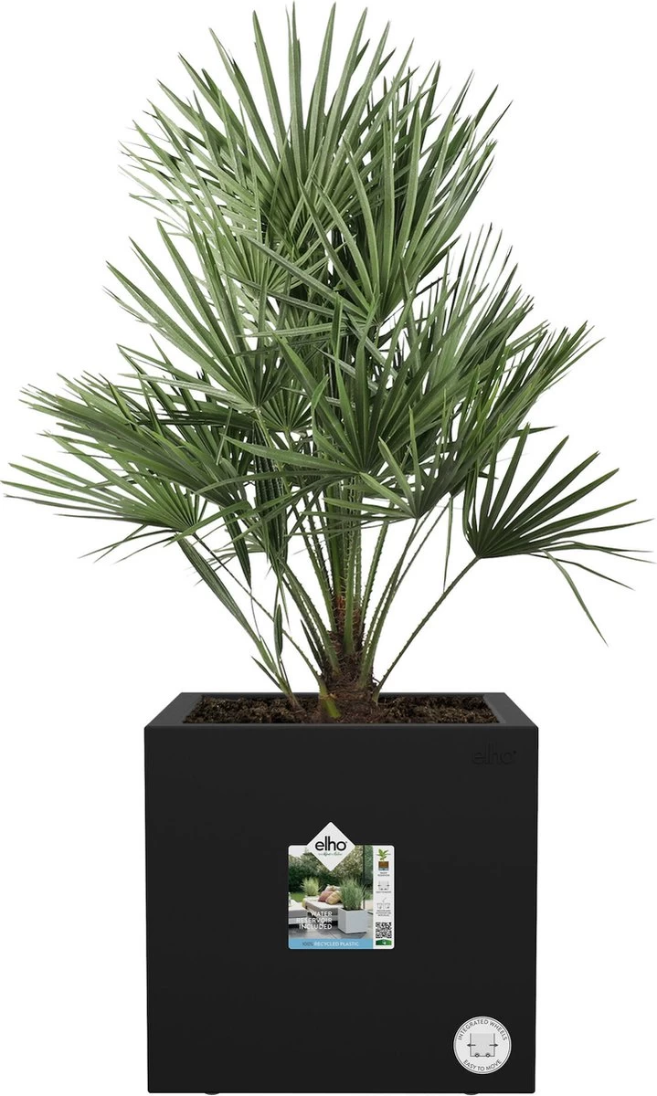 Elho Vivo Next Vierkant 40 - Plantenbak Voor Binnen & Buiten - Ø 39.0 X H 37.9 Cm - Zwart/Living Black - Image 2