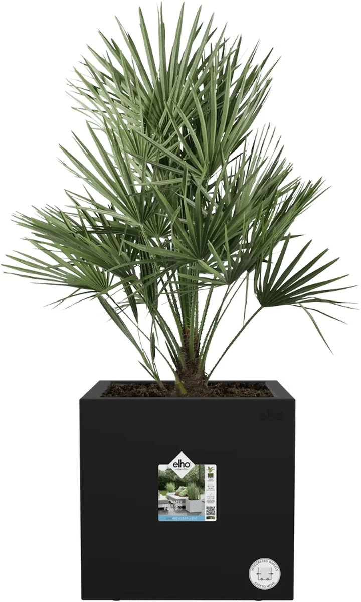 Elho Vivo Next Vierkant 40 - Plantenbak Voor Binnen & Buiten - Ø 39.0 X H 37.9 Cm - Zwart/Living Black - Image 14