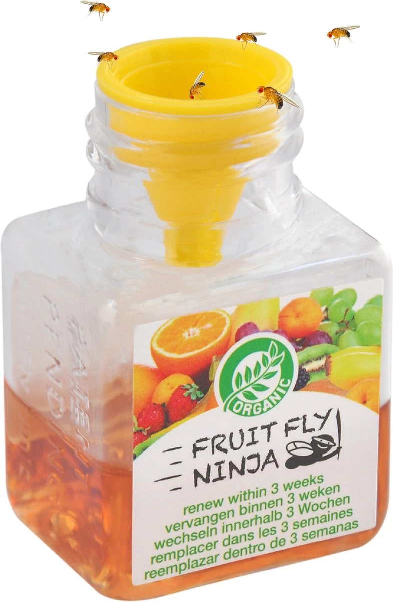 Super Ninja - Fruit Fly Ninja® - Fruitvliegjes Vanger - 100% Natuurlijk En Milieu Verantwoordelijk - 12 Pack - Image 5