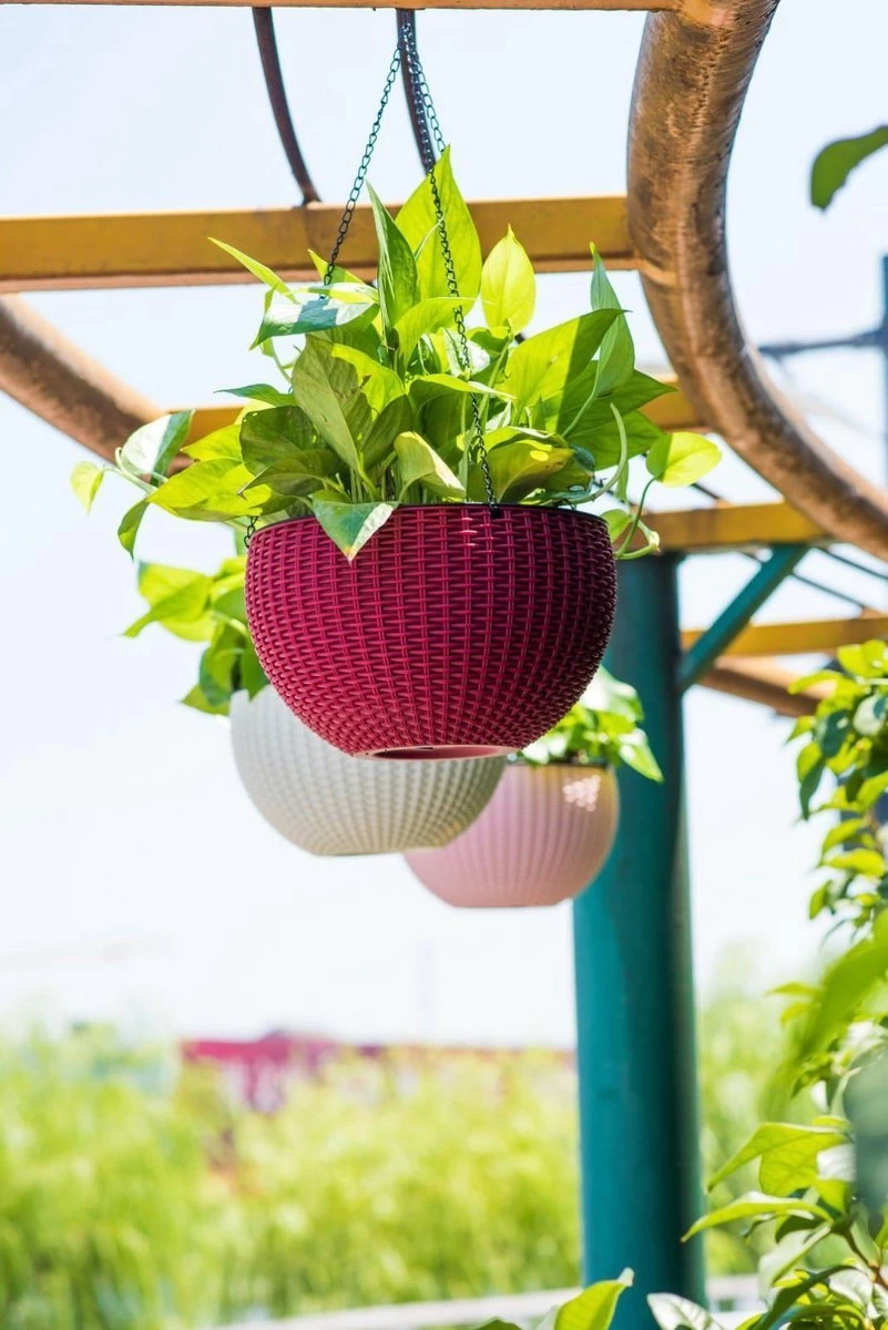 Hangpot Kunststof – Bloempot Hangend – Binnen & Buiten- Plantenhanger –Incl. Afvoerstop – 26 Cm - Zwart - Image 3