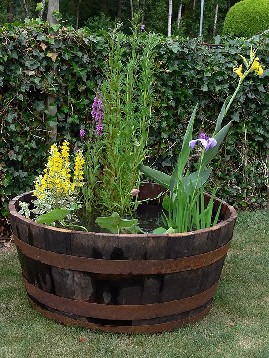 Whiskyvat Kuip 1/2 240l. (authentiek) - Image 2